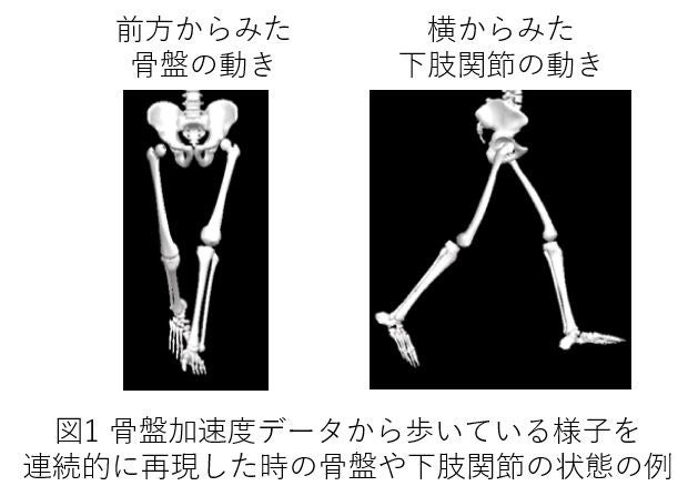 東京医科歯科大学 室伏 広治氏との研究がAMEDに採択されました