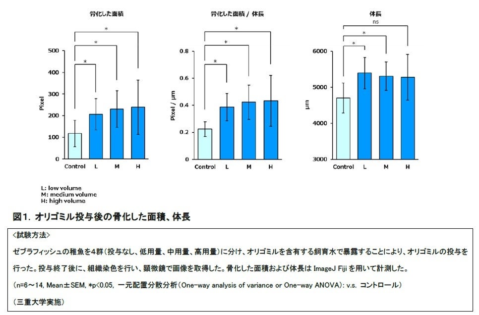 美容特化型イノベーションファーム「ampule」、「2024年美容トレンド予測」を発表