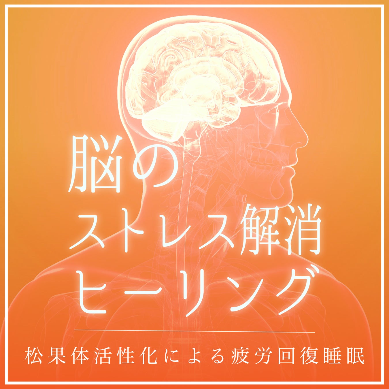 24ｈアミューズメントフィットネスクラブ FIT-EASY 鈴鹿稲生店のオープンが決定しました！