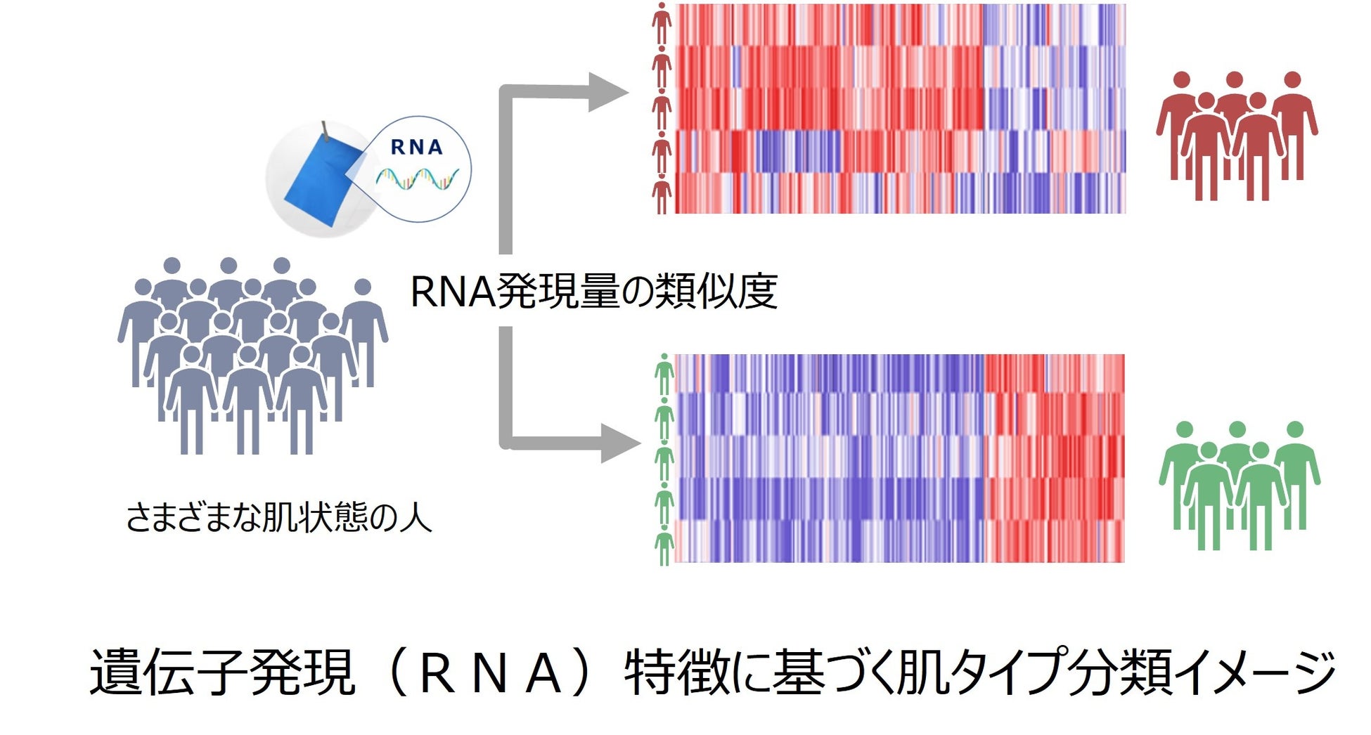 【肌の曲がり角】30代女性のスキンケア満足度は15％！スキンケアの悩みやニーズを徹底調査！