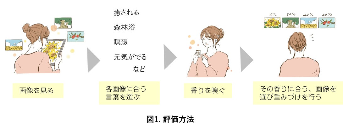 お客様満足度95%以上！（※1）テスコムでいま最も売れている速乾ドライヤーがもっと軽量に。 Speedom 「プロテクトイオン ヘアドライヤー TD570A」が新発売