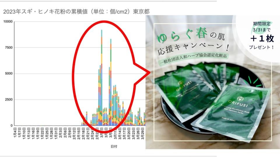 70代の夫婦が営む豆腐スムージー専門店『PAPMA(パプマ)』　
スムージー販売数 累計10万杯に迫る！