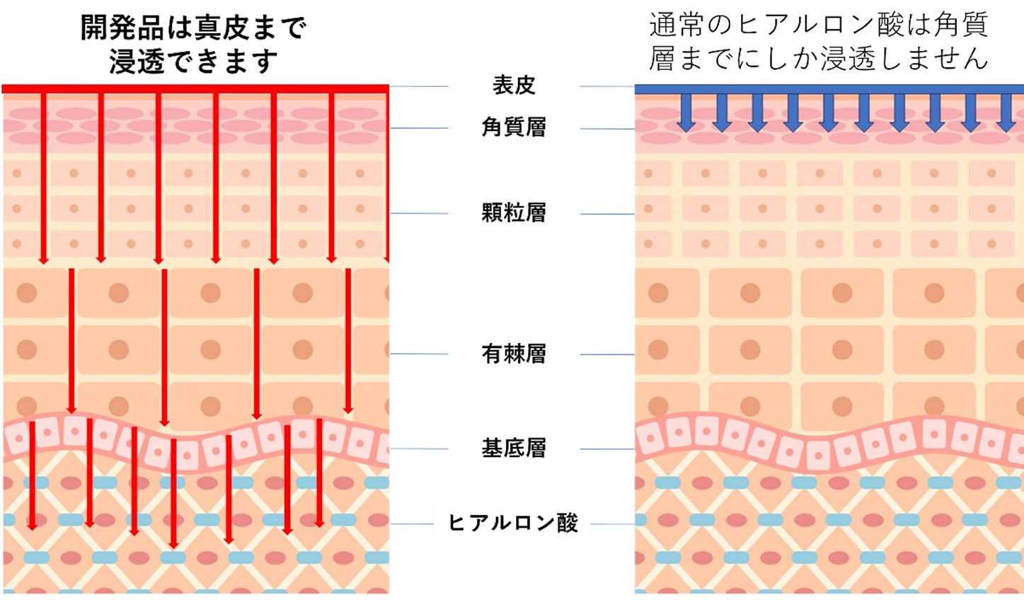 【定番ラインナップは全24種】貼るだけマニキュア「インココ」の追加色と限定商品再販のご紹介