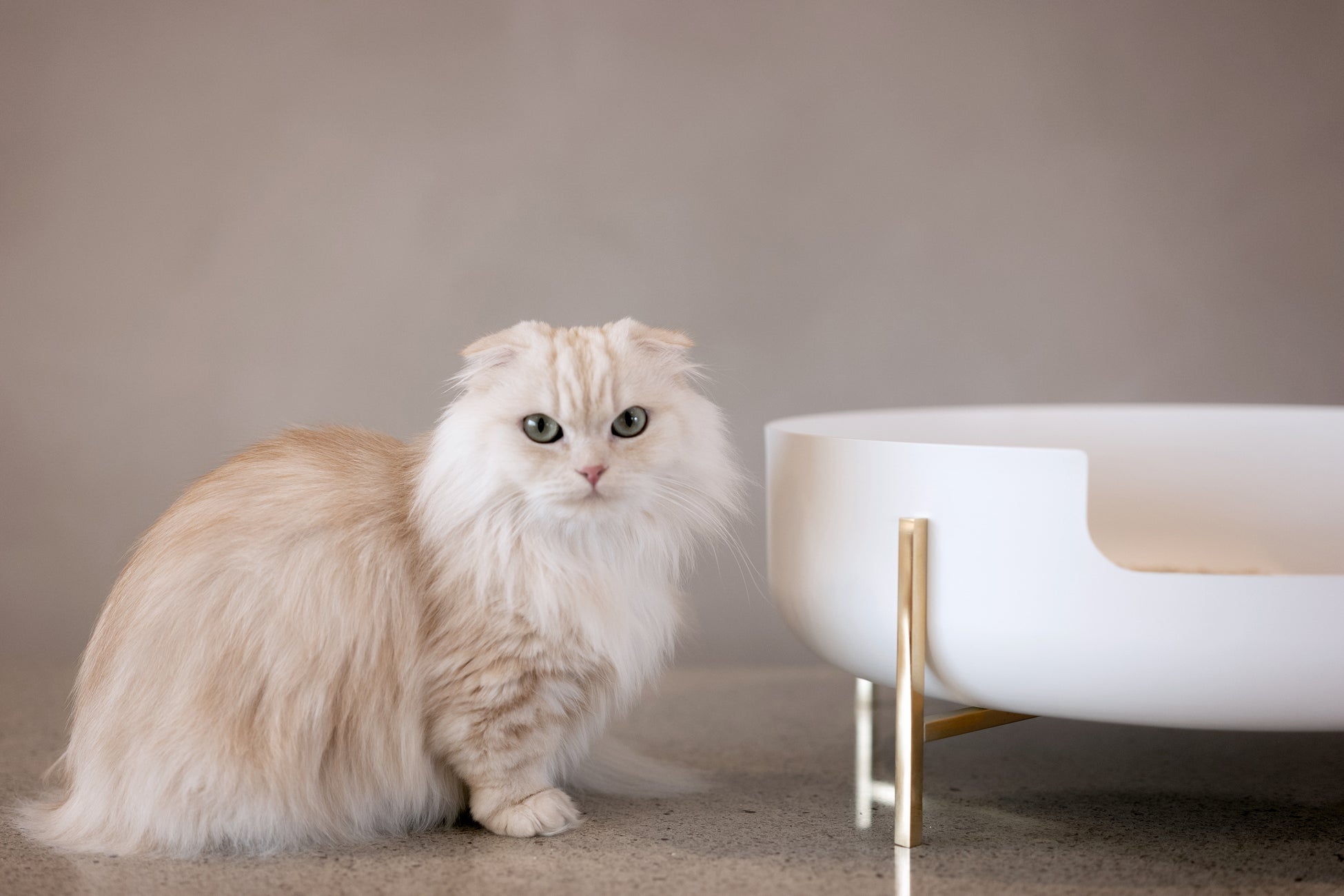 伊勢丹で好評を博した愛猫のための美しすぎるプロダクト、Katteの猫トイレ「La Toilette（トワレ）」が5月の発売前に第13回「インターペット」に出展