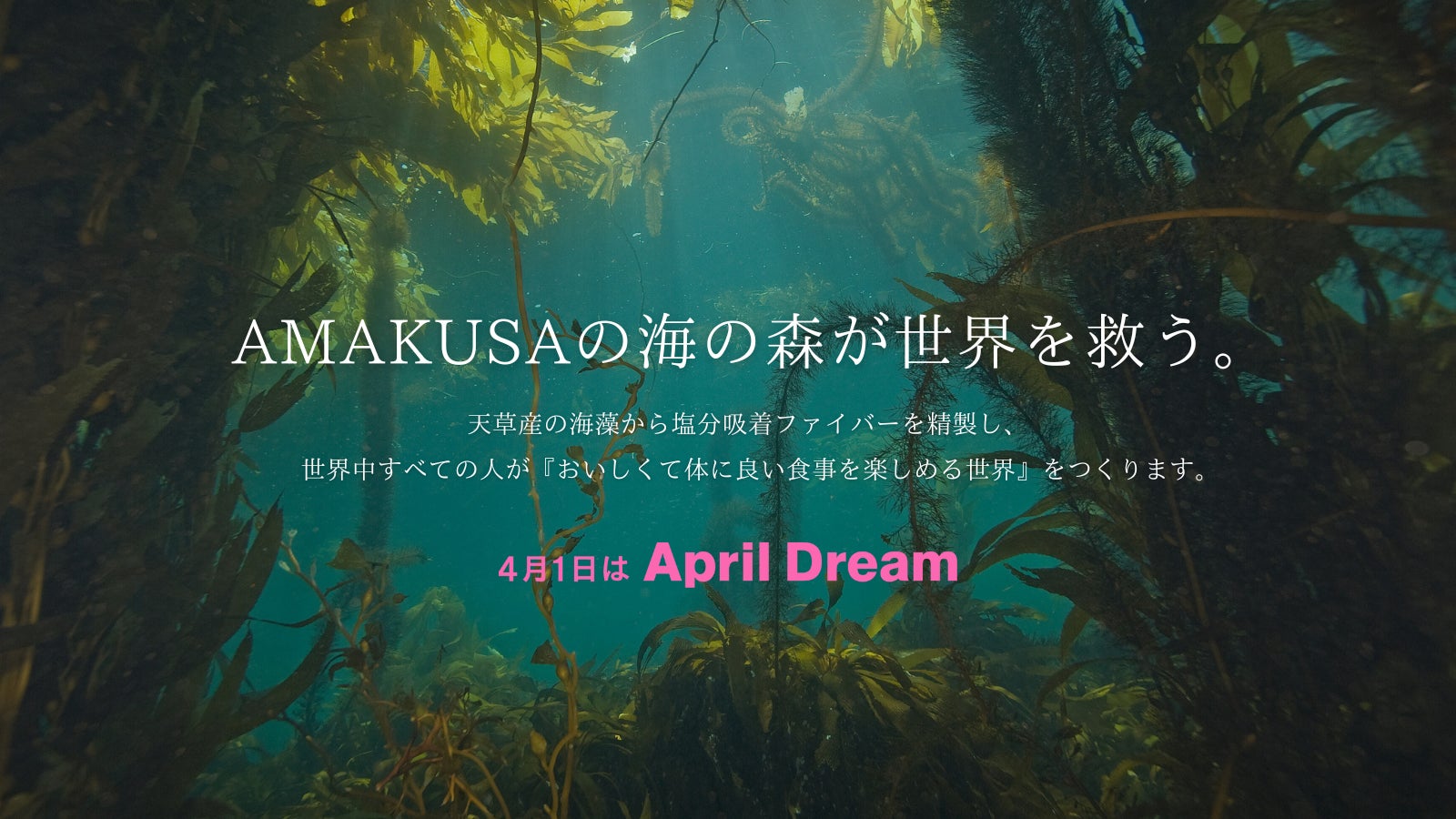 AMAKUSAの海の森が世界を救う。天草産の海藻から塩分吸着ファイバーを精製し、世界中すべての人が『おいしくて体に良い食事を楽しめる世界』をつくります。