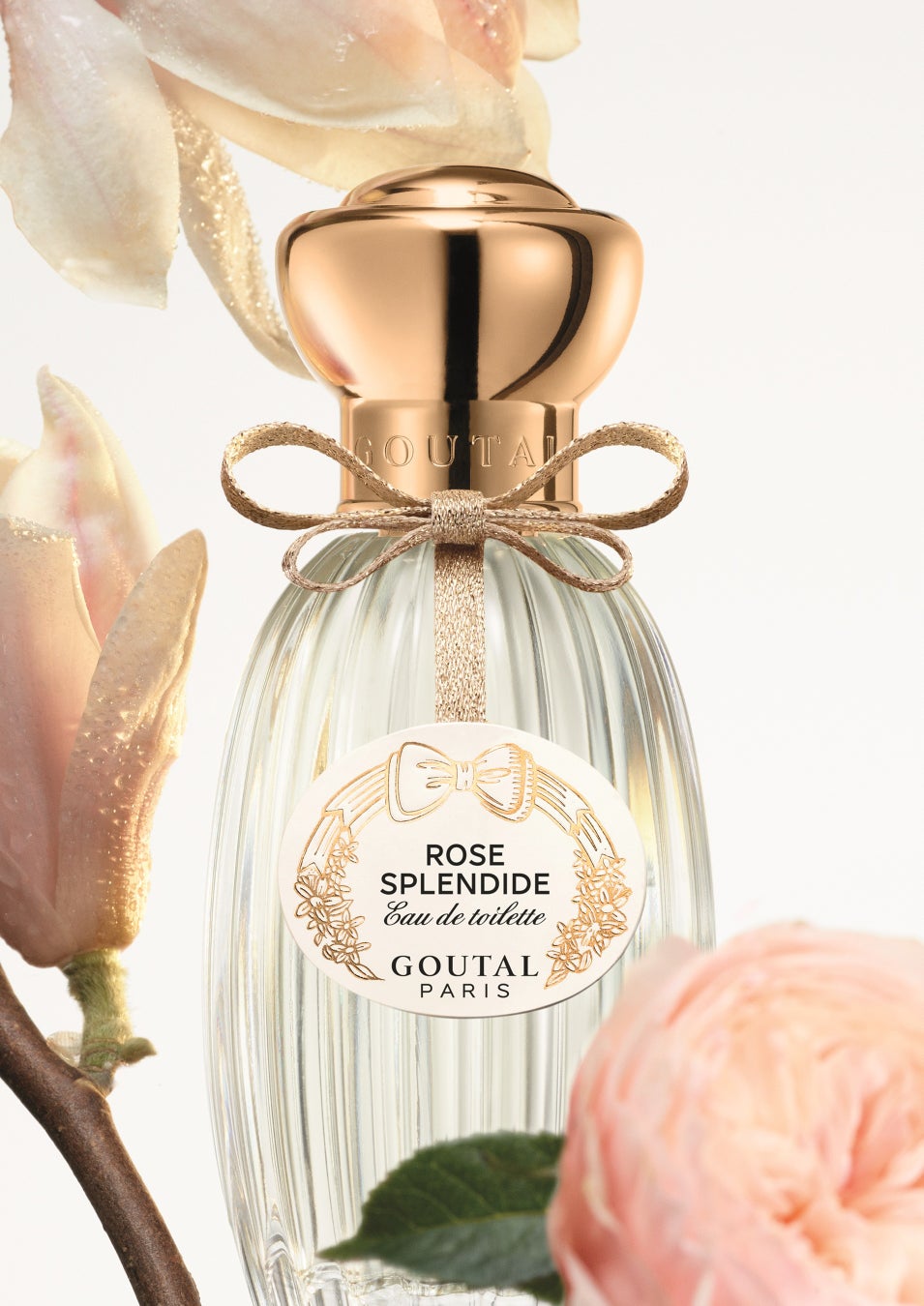 2024年5月22日(水)、パリ発フレグランスメゾン《グタール》から、みずみずしいバラが香る「ローズ スプレンディド」が数量限定で登場！