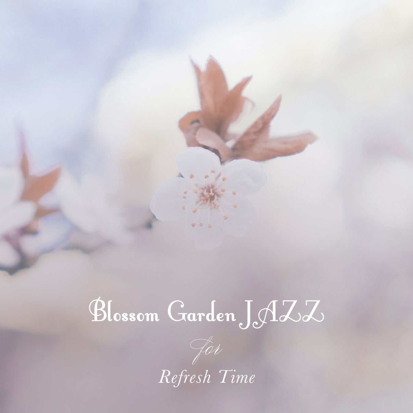 季節を感じるカフェミュージック♪JAZZ PARADISEの最新アルバム『Blossom Garden JAZZ for Refresh Time』