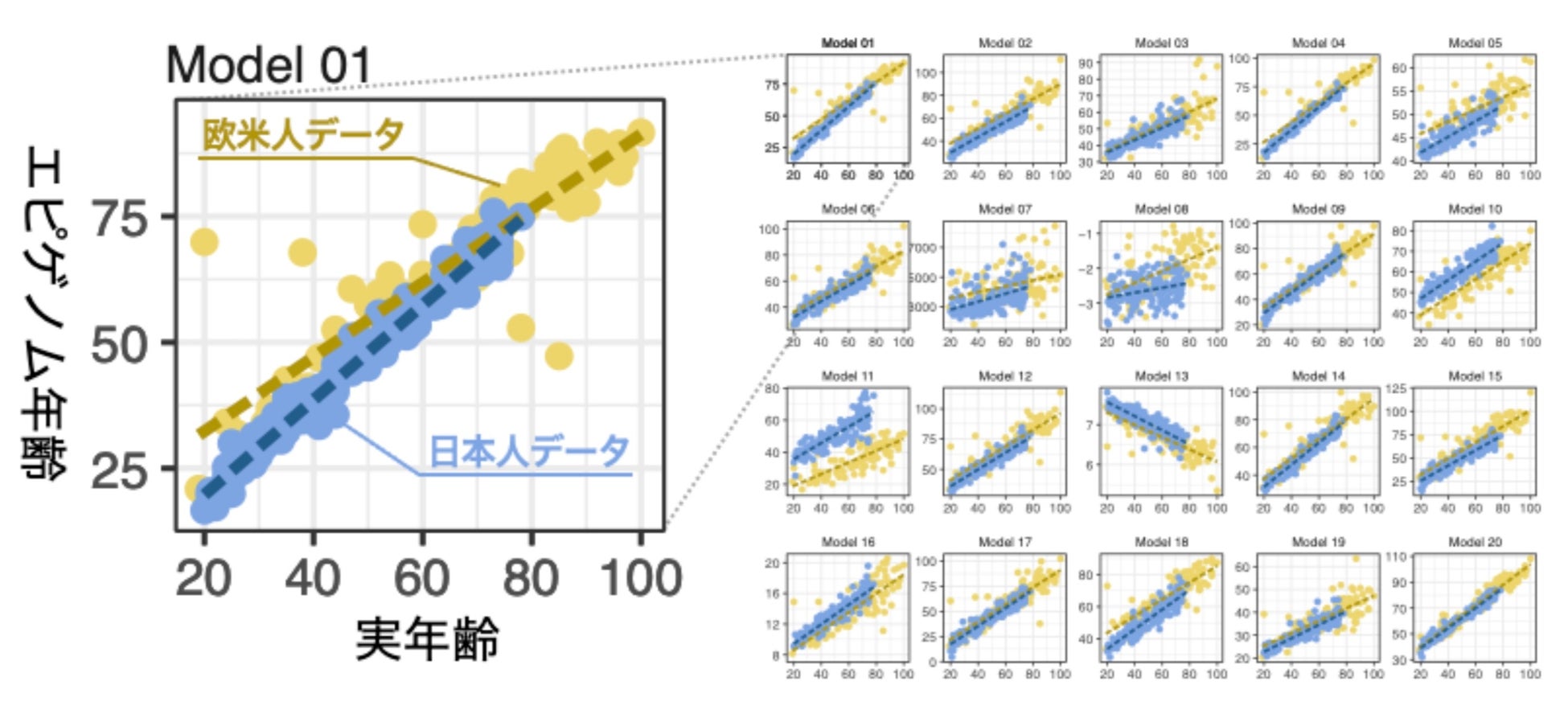 【南浦和】おすすめパーソナルトレーニングジム5選！通うならここ！