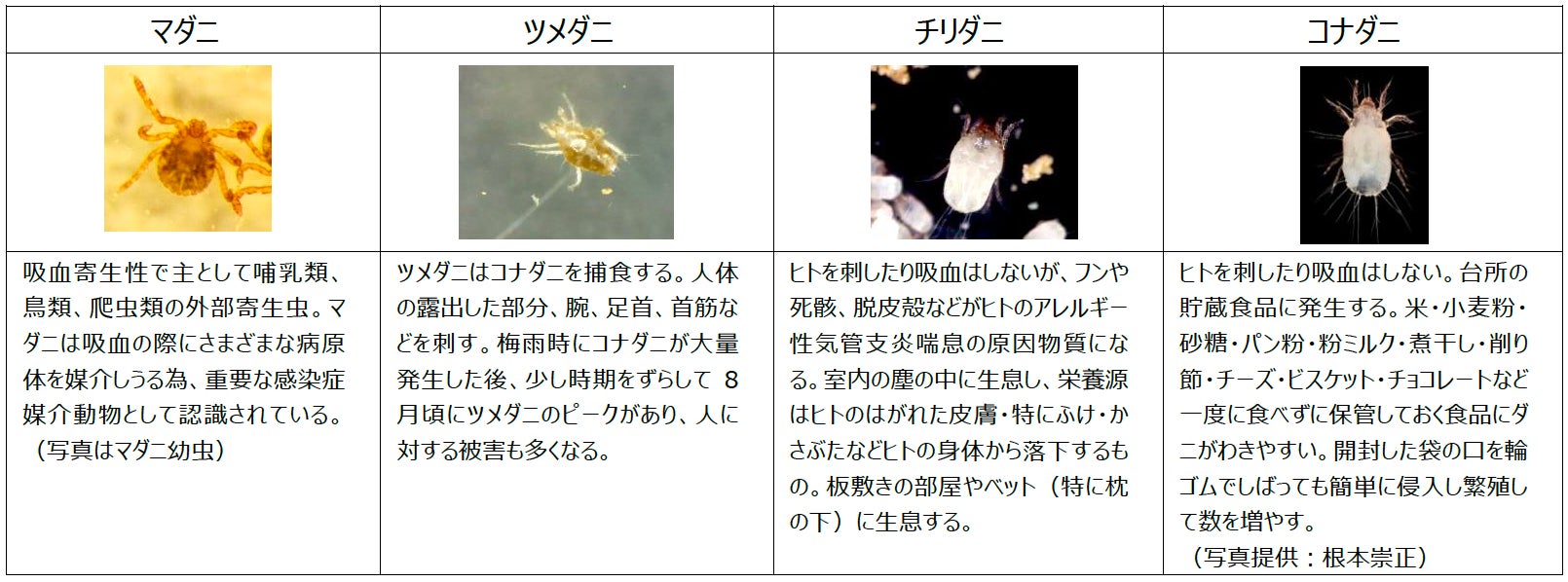 気温20度以上、湿度60％以上でダニは大量繁殖する⁉梅雨時期のダニ対策は「湿度を55％以下にコントロール」する事が重要!