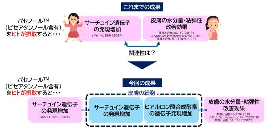 【新発売】人気の酵素洗顔がリニューアル！毛穴汚れに邪魔されないつるんとした肌を叶える黒の「ほぐし※１酵素洗顔」誕生『POA-TULU ブラックパウダーウォッシュ』2024年6月20日(木)新発売