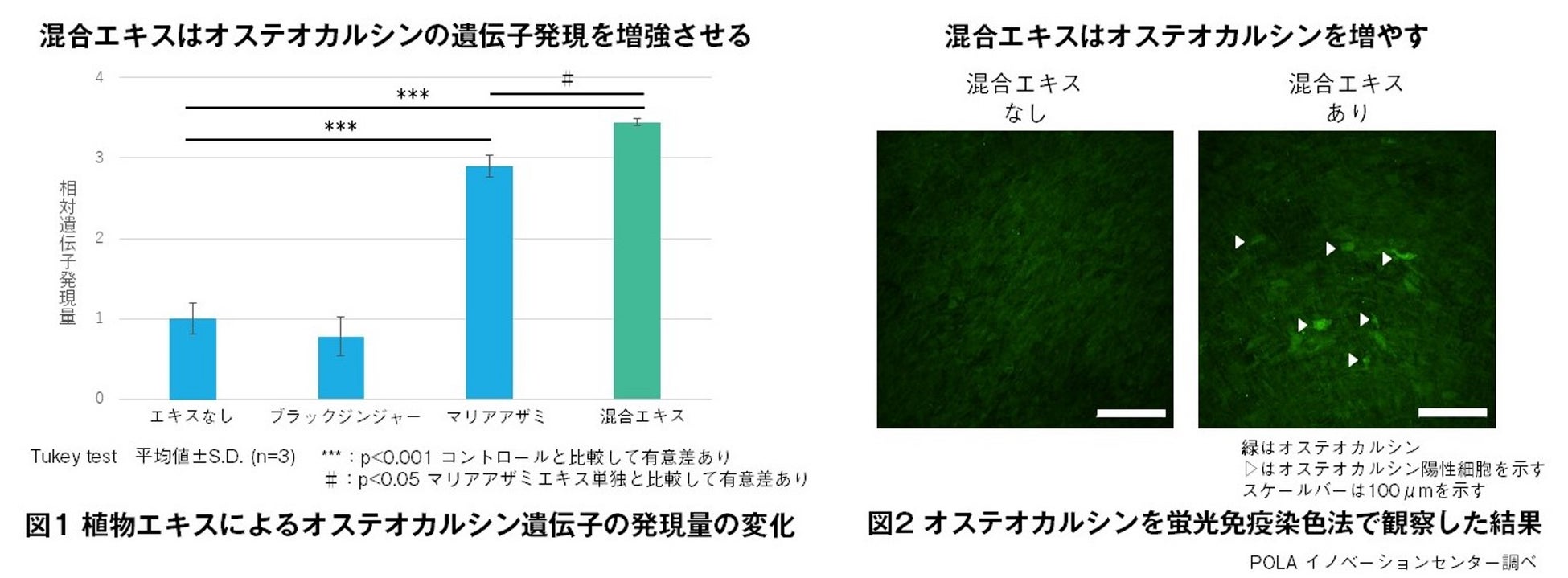 「Pororoca」のデリケートゾーン用オイルがリプロダクティブヘルスアワード2024にて「セクシャル・ヘルス賞」を受賞