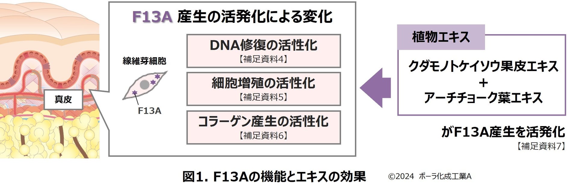 エマルション（※1）の乳化滴の壊れやすさを調整、複雑な感触変化を的確に実現