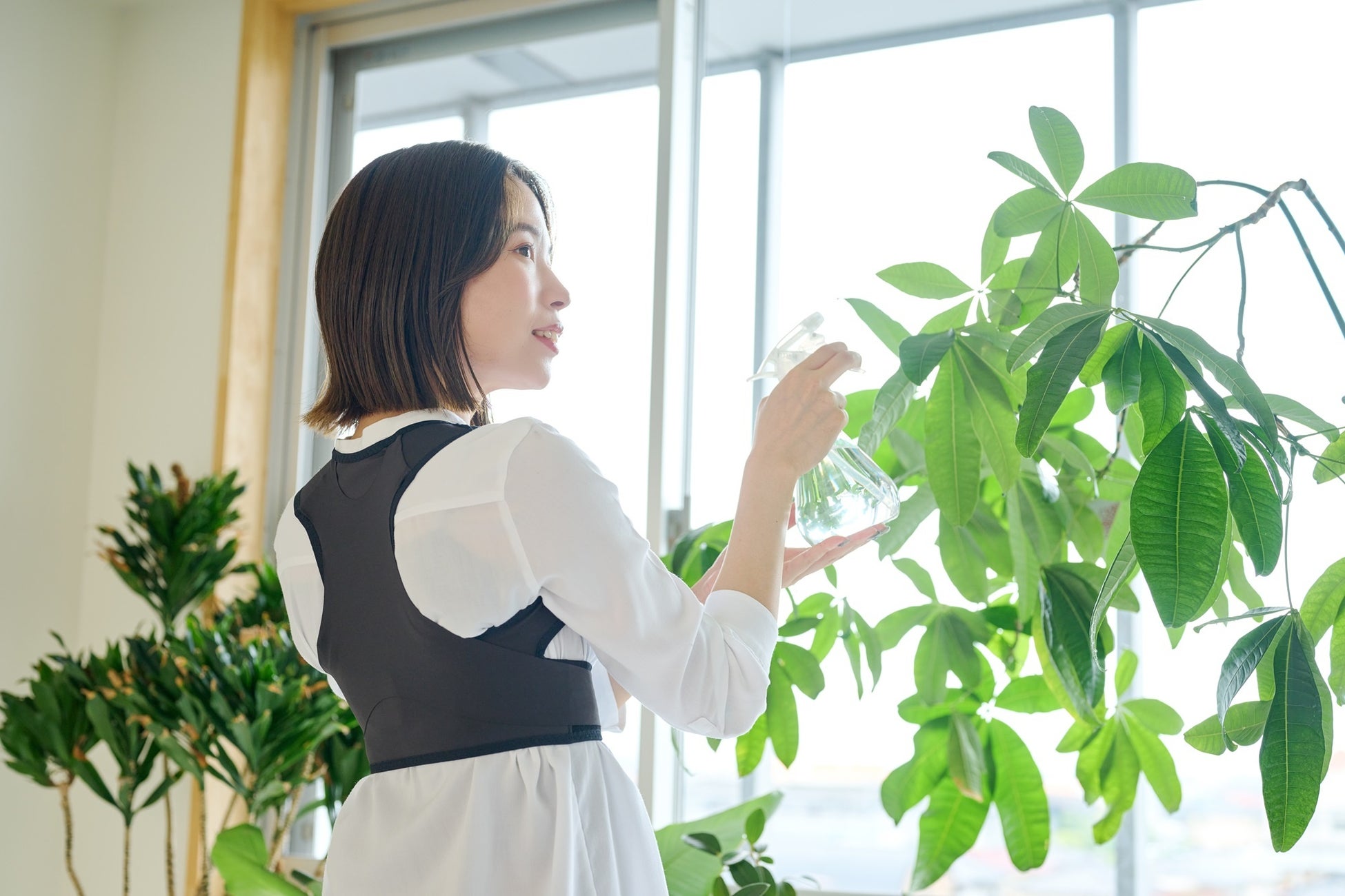 株主優待制度の実施に関するお知らせ