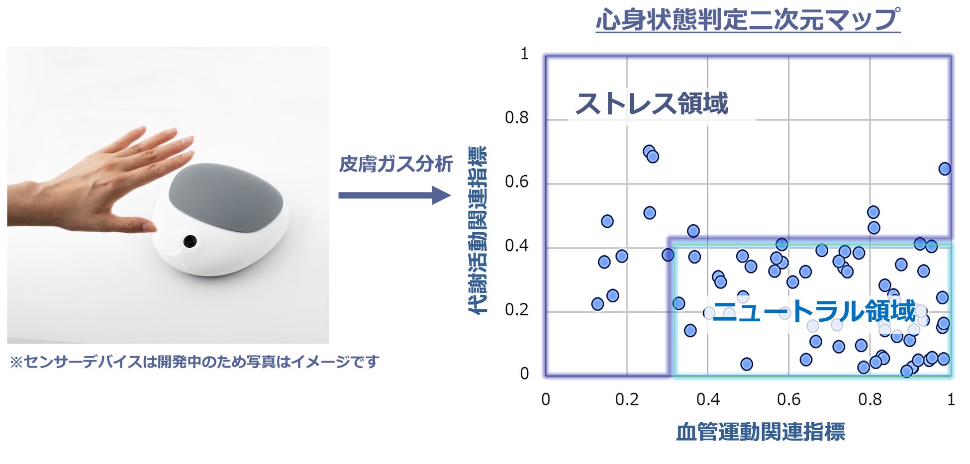 東京・銀座で究極のホリスティック・ウェルネスを追求する「THE HUNDRED WELLNESS SALON」2024年10月11日 デビュー