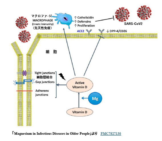 笹川友里経営の『SaunaTherapy』と『SPRINAGE』の豪華コラボ！サウナとヘアケアで心と髪に潤いを