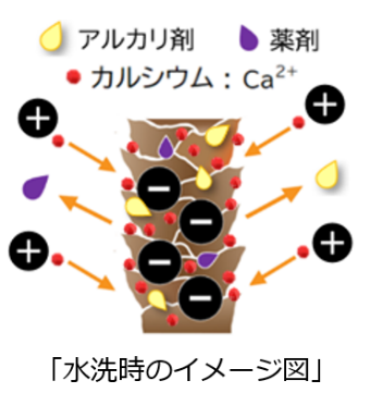 髪の「パサつき」「うねり」の原因は水道水のカルシウムだった！
ヘアカラーによるダメージの修復に新発想の新製品