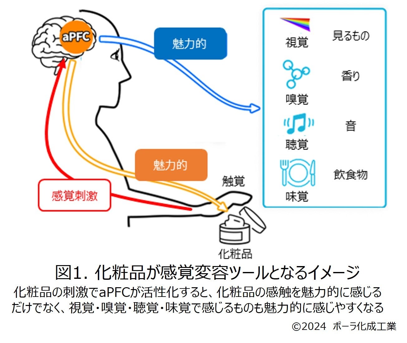 化粧品の感覚変容ツールとしての可能性を発見