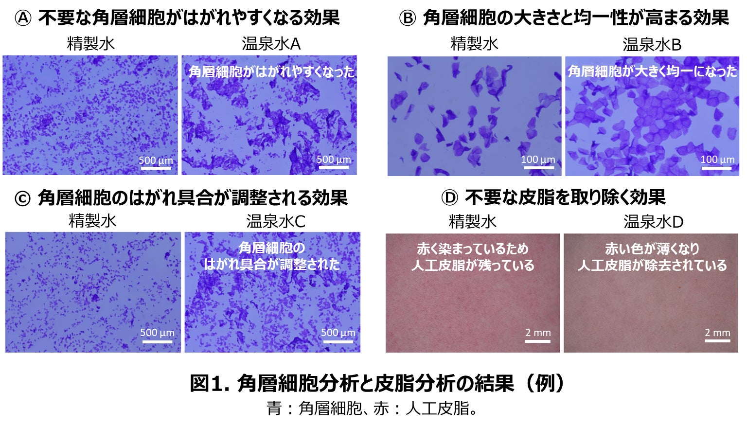 【10/10はふとんの日】季節の変わり目でも理想の睡眠環境を作るサステナブルなコンフォーターシリーズキャンペーン開催!