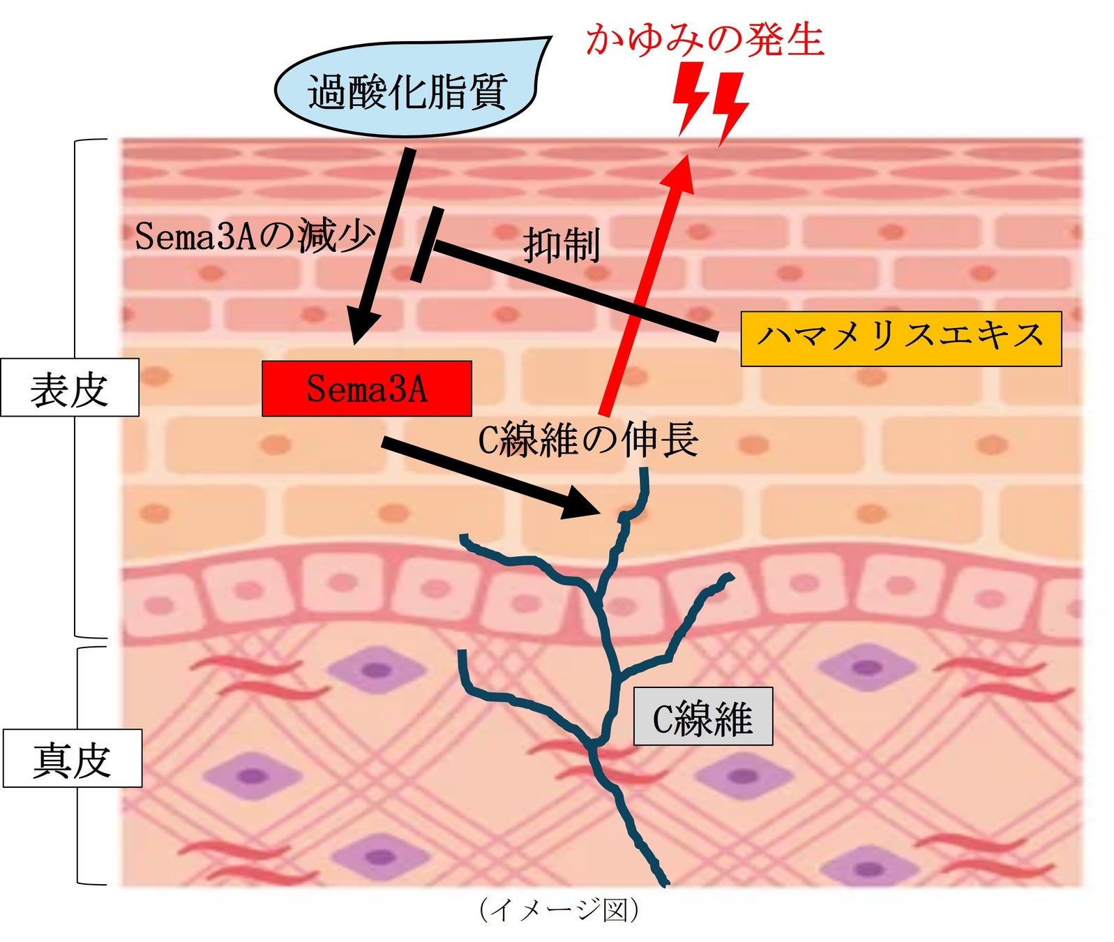 ＜&be HAIR＞これ1つでヘアセットから全身の保湿ケアまで！天然由来成分100%のしっとりやわらか万能ワックスが新登場