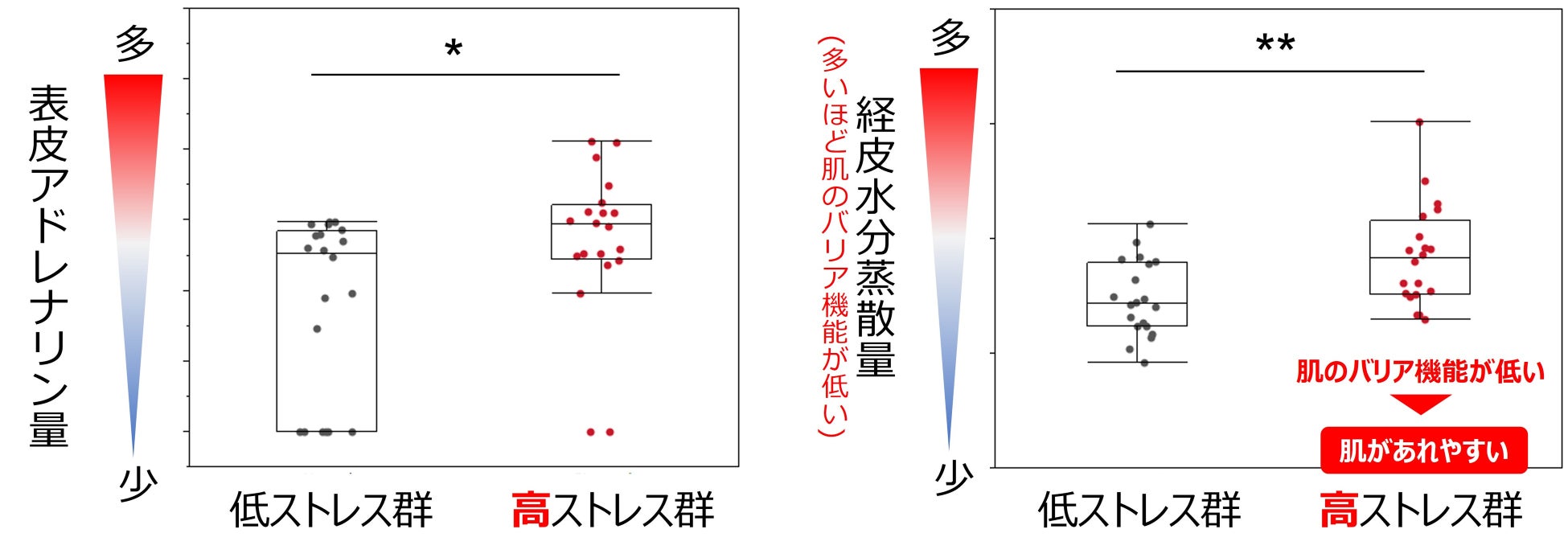 約7割の女性はかかとに自信がないが、ケアするのは気になる時だけ