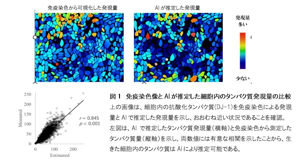 第40回 コナミオープン 水泳競技大会 開催決定！