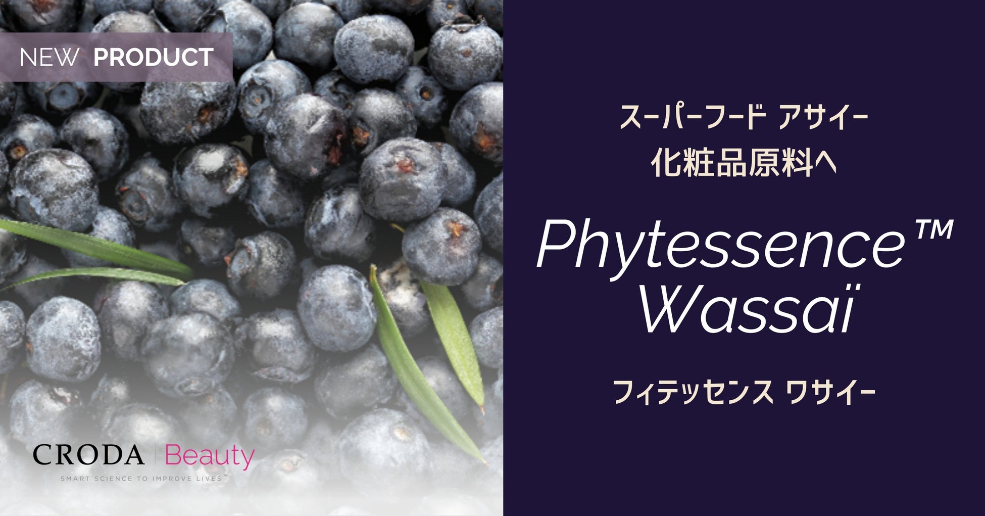 大臣賞を発表！「ウェルエイジング経済フォーラム Well-being & Age-tech 2024 Award 」受賞8社が決定！