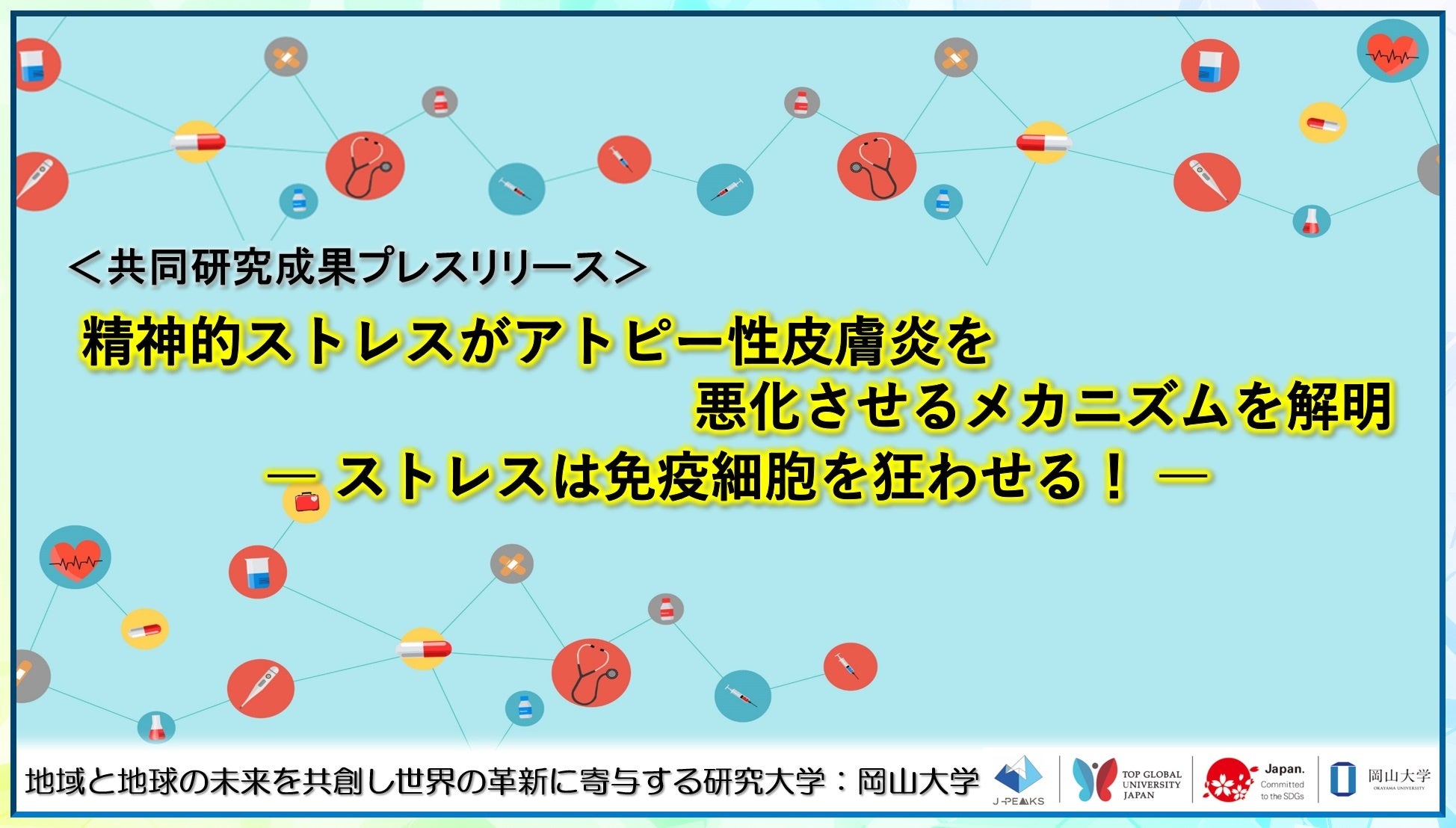 【岡山大学】精神的ストレスがアトピー性皮膚炎を悪化させるメカニズムを解明－ストレスは免疫細胞を狂わせる！－