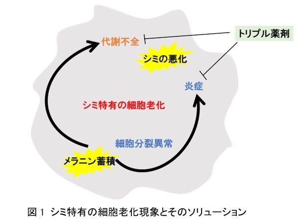 生理の環境改善に取り組む生徒らのスピーチ等コンテスト「『誰もが快適な生理を』サミット2024」受賞者決定