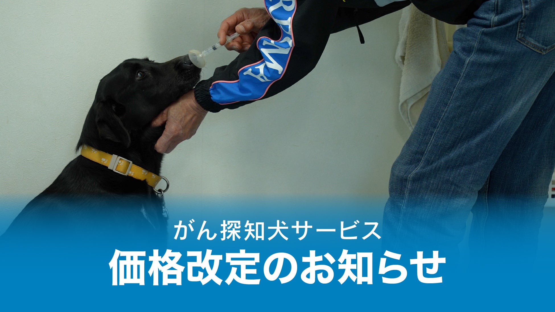 がん探知犬サービスの価格改定のお知らせ