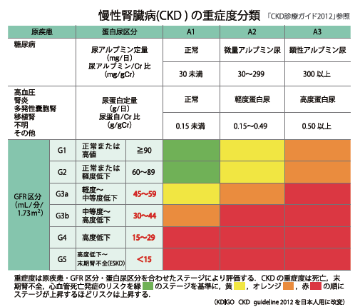 腎臓の健康に関する漢方相談の売上が昨年対比で5倍増　
透析予備軍の慢性腎臓病患者の増加が背景に　
社会的課題である健康寿命の延伸をいかにサポートするか