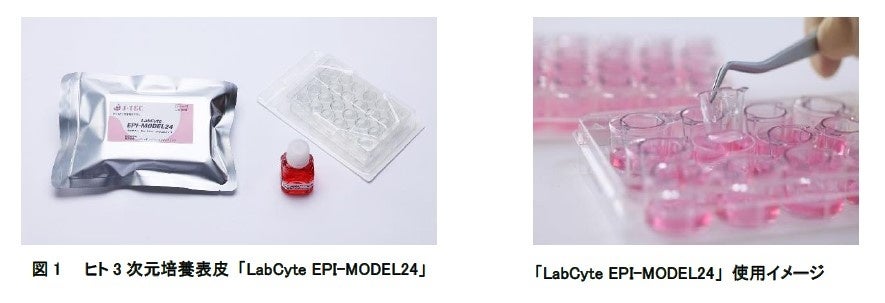 今を生きる女性に贈る、笑顔の為の
ときめきホワイトニング※新習慣。
近畿大学との産学連携で開発された
【mashiro24/7 -マシロトゥエンティフォーセブン-】
1月29日から@cosme OSAKAにて特設コーナーを展開！