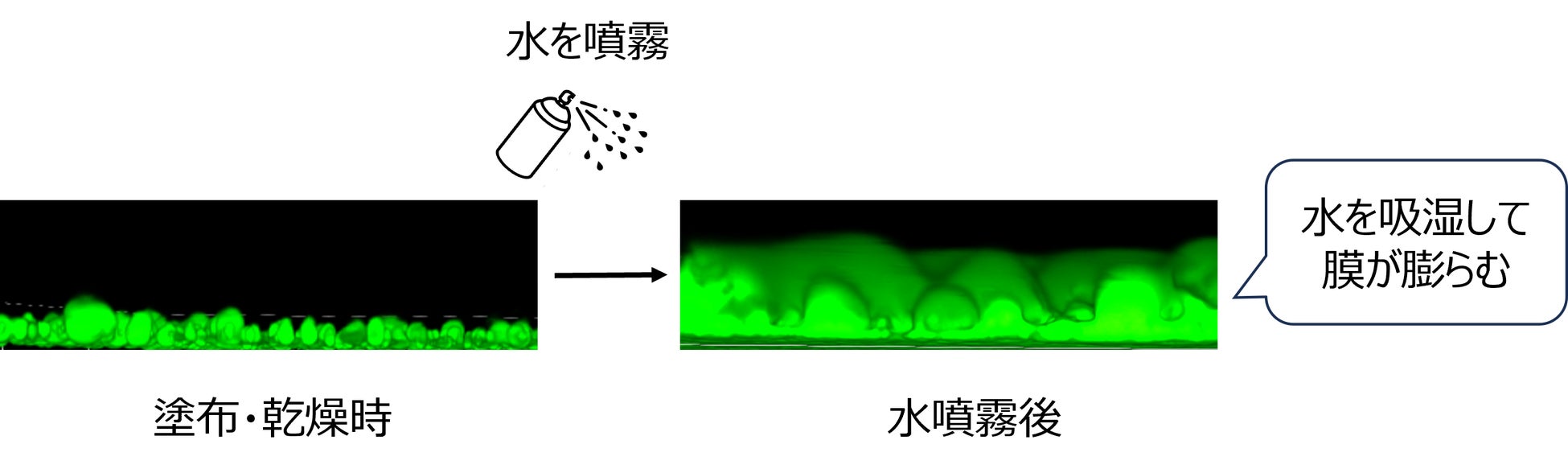 湿度変化に応じて吸放湿するUV防御塗膜技術を開発