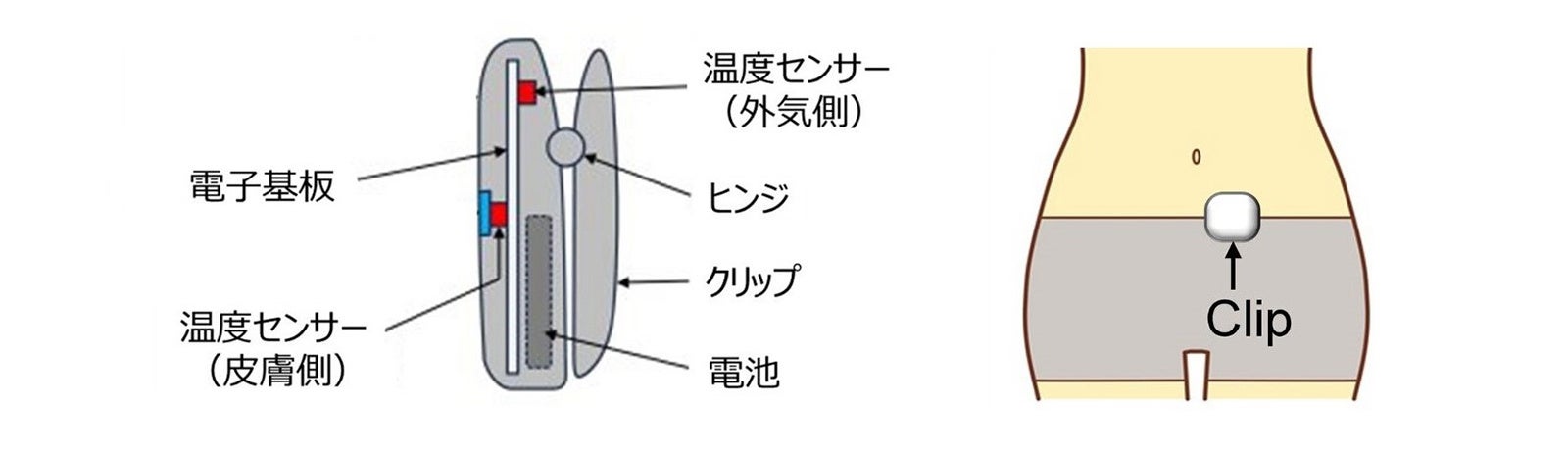 就寝中における腹部周辺の衣服内温度計測で月経リズムが把握できることを実証