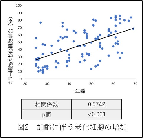 人の血液中における老化細胞定量法の確立とキンミズヒキ由来アグリモール類摂取による人での老化細胞除去作用の検証