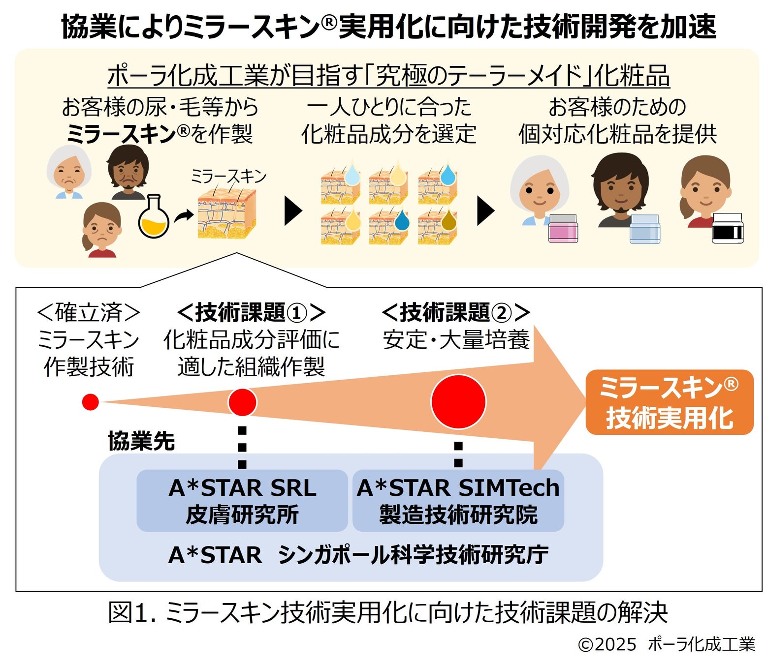 シンガポール拠点で「ミラースキン™」実用化研究を本格スタート