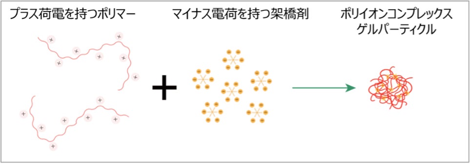 日焼け止めの新規技術ポリイオンコンプレックス ゲル パーティクル（PGP）を応用