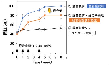 酵素分解蜂の子※1が、騒音性難聴の進行を抑えることを確認 現代病の一つとしてWHOが危惧する聴覚障害※2を予防できる可能性