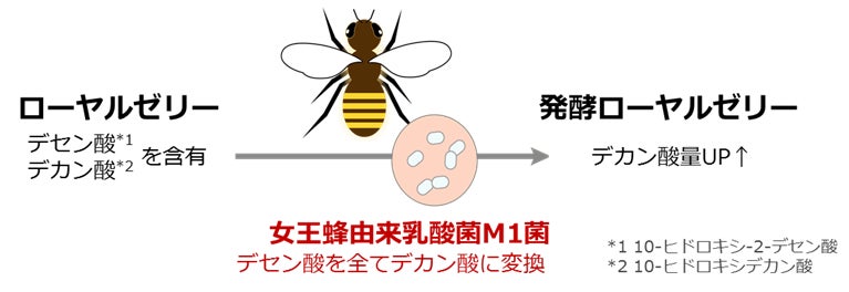 たっぷりラメと繊細グラデで光ゆらめく透明感のある目元へ！人気の「スタイリングアイパレット」から多色の偏光ラメを贅沢に使用した限定色が登場