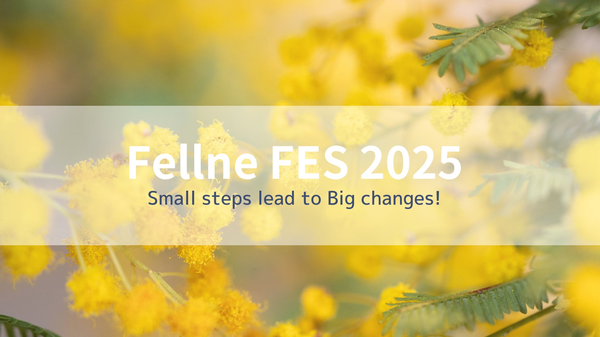 〈イベントレポート〉女性活躍推進サービス“Fellne”大盛況！国際女性デーイベント「FellneFES2025」開催