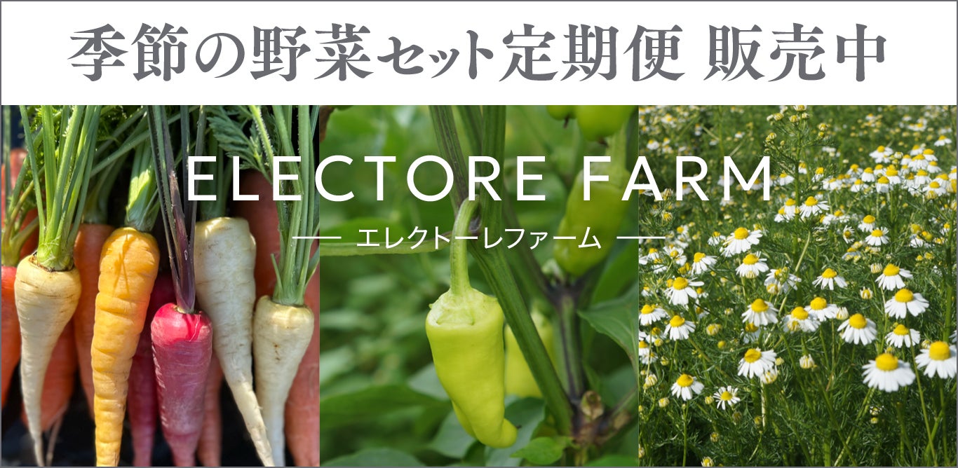 【旬の無農薬野菜＆ハーブをお届け】エルビュー株式会社の無農薬菜園「ELECTORE FARM」より定期便の販売がスタート