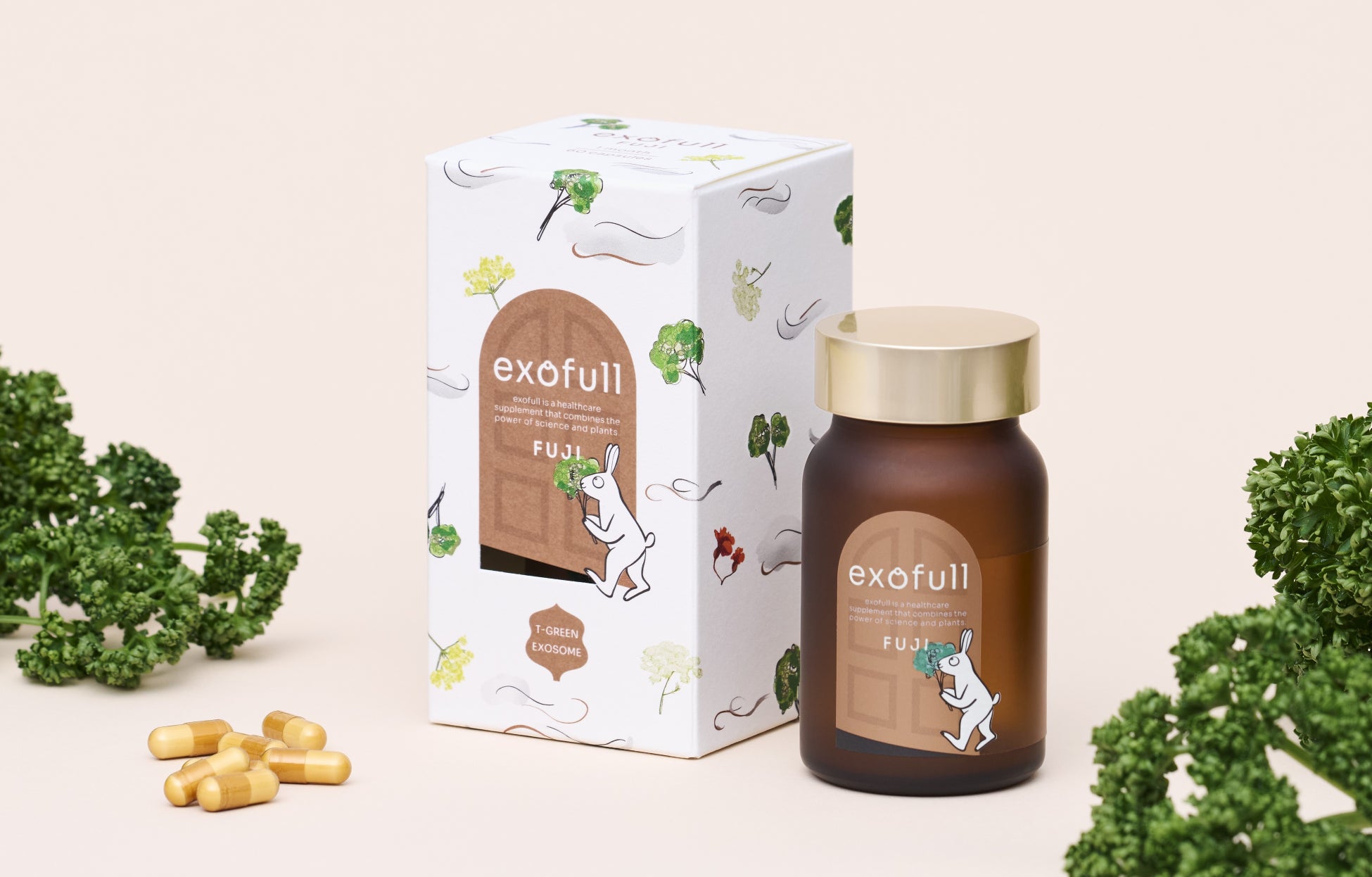 TIME TRAVELER社、世界で初めて“パセリ由来エクソソーム”を原料として開発されたサプリメント「exofull FUJI」を公式オンラインストアから発売開始！