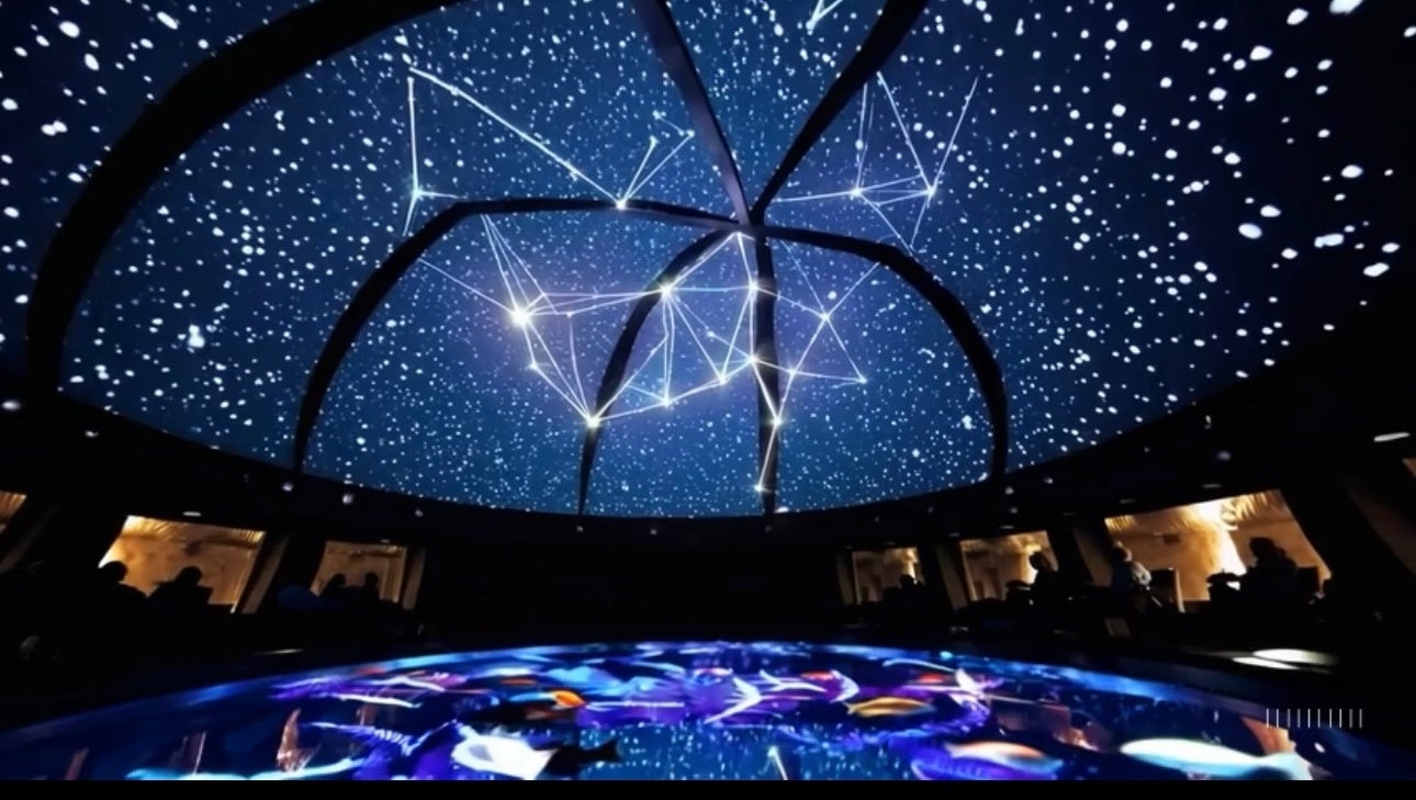 プラネタリウム＆ドライヘッドスパの極上体験がさらにパワーアップ！五感を満たす究極のリラクゼーションを。