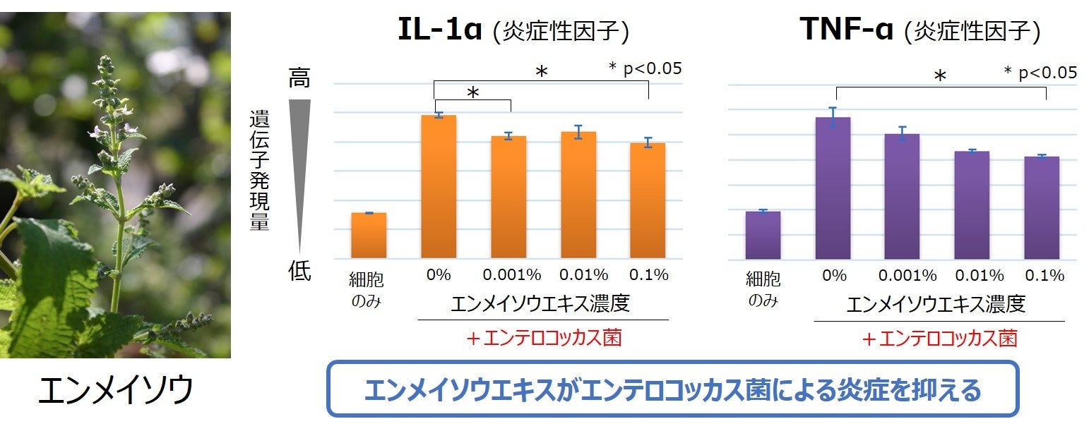 韓国コスメブランド「dasique」、5/31(土) 新コレクション「トゥインクルマーメイドコレクション」を発売！きらめきもUVケアも、ひとつのコレクションで。