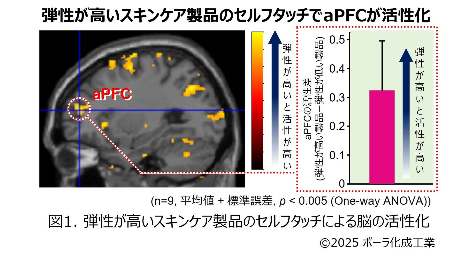 関西の地に営まれた古都をめぐる「KANSAI ウオーク 2025」開催《参加者募集》
