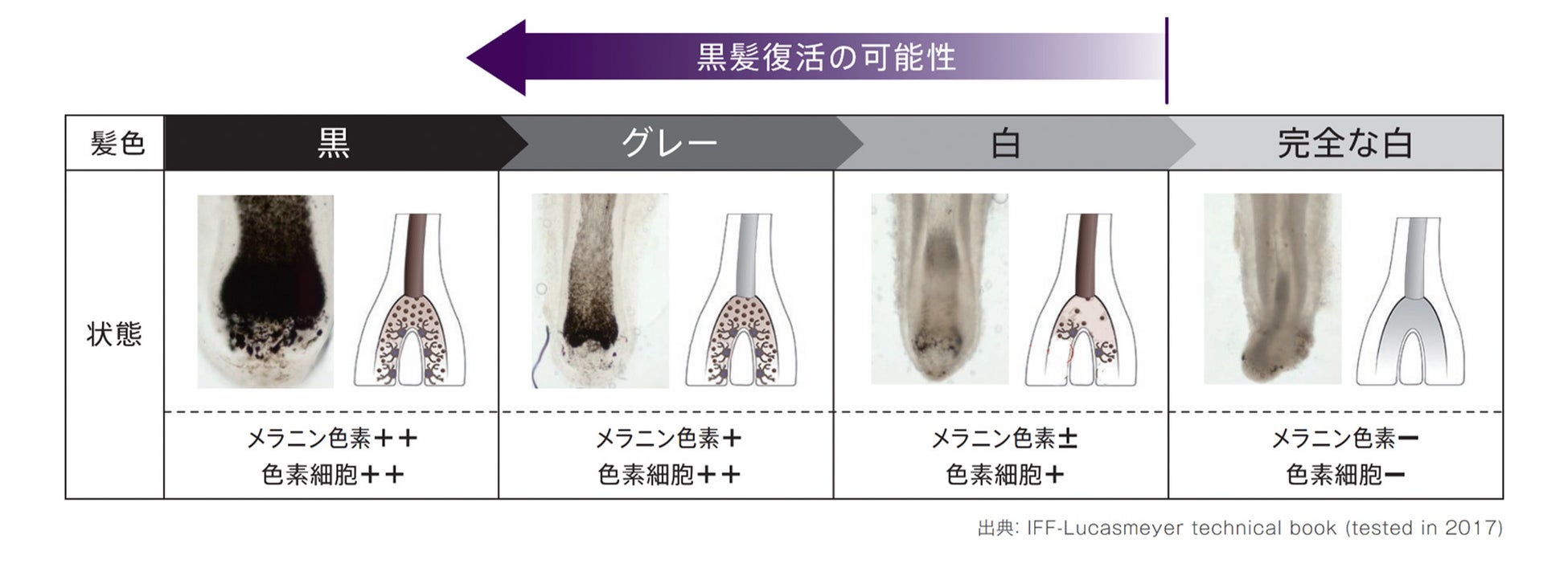 【数量限定】＆honeyより初の「クロミ コラボデザイン」が登場！　マツモトキヨシ・ココカラファイン限定「&honey Melty/クロミ」2025年5⽉28⽇(⽔)より数量限定 順次発売