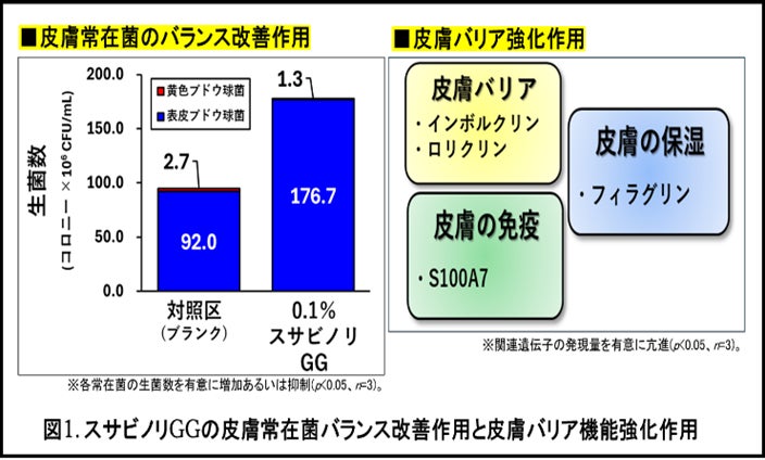 スサビノリ由来成分「GG」の皮膚常在菌バランス改善効果を新たに確認