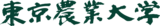 【東京情報大学看護学部】次世代の看護師へ。医療従事者子息、息女を対象とした特待生入試制度を新設。