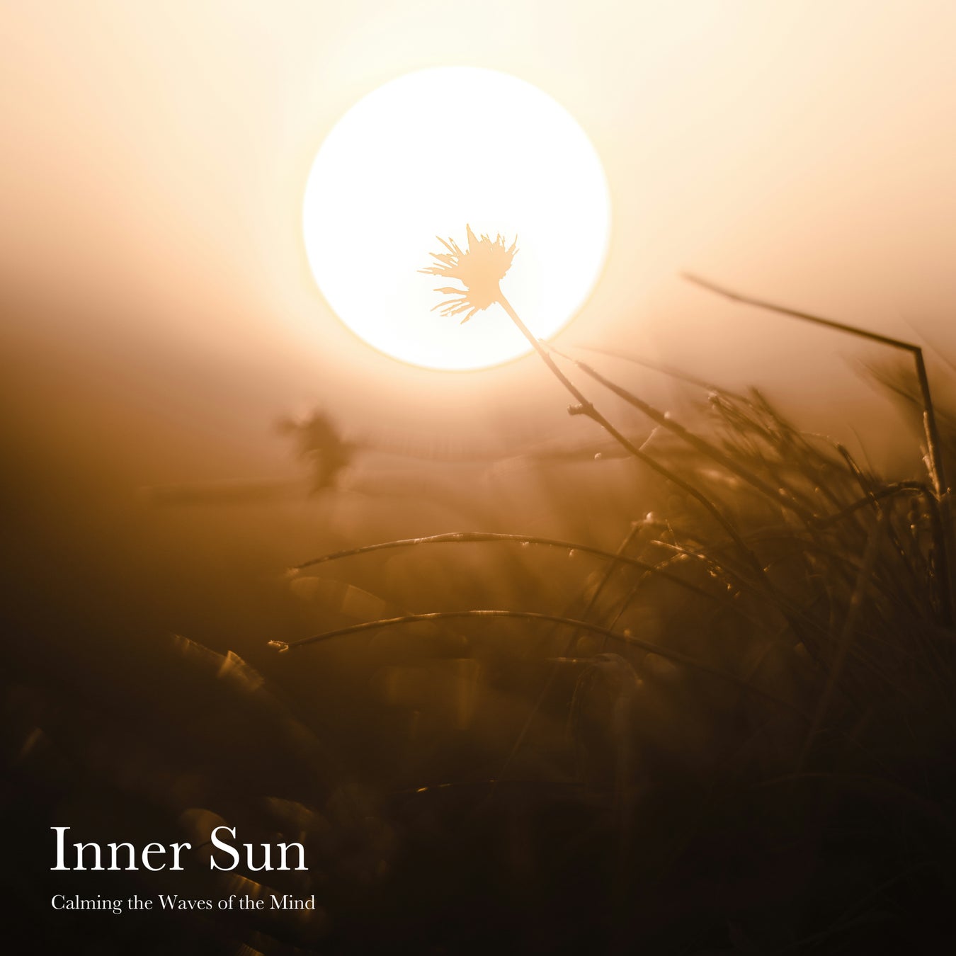 癒やしを奏でるRELAX WORLD、“内なる太陽”が心を照らす新作『Inner Sun』配信開始｜YOGAとマインドケアに寄り添う音楽体験