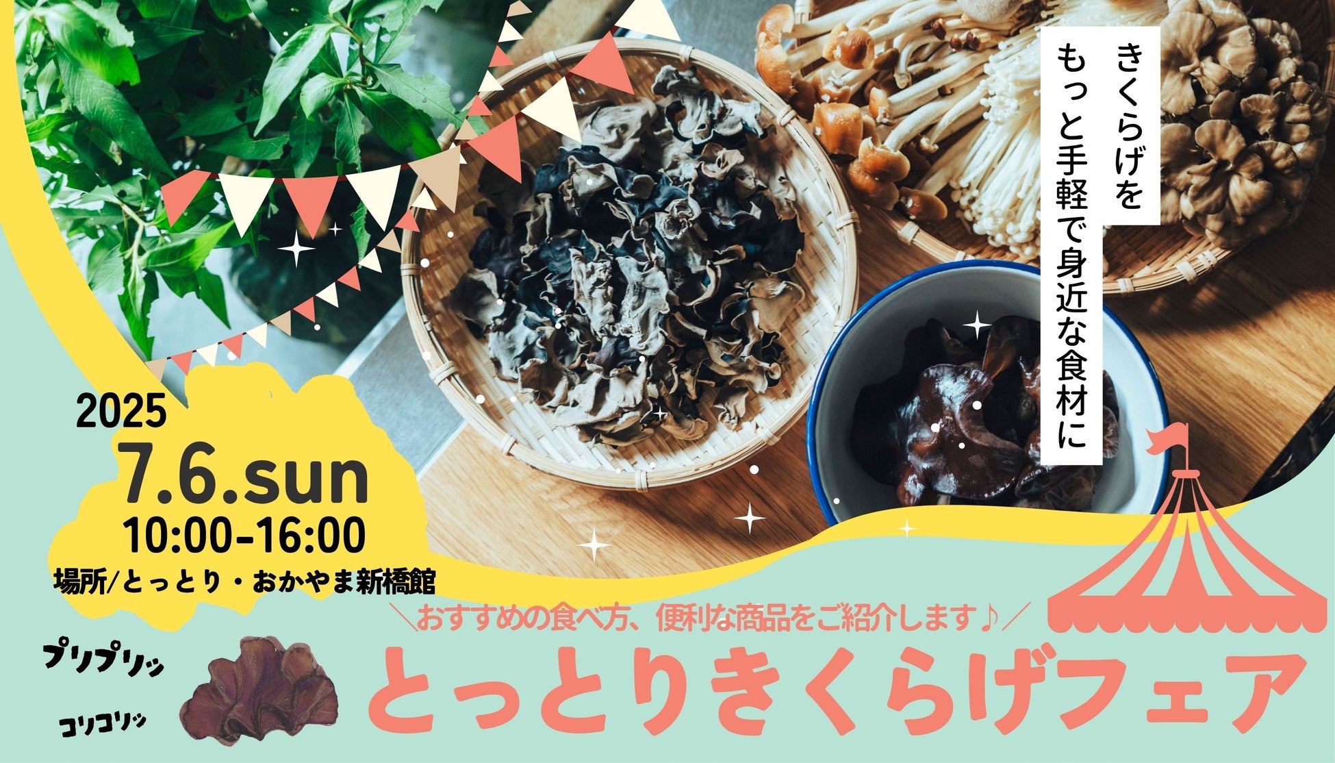 鳥取県産きくらげの魅力を味わえる！「とっとりきくらげフェア」を開催！