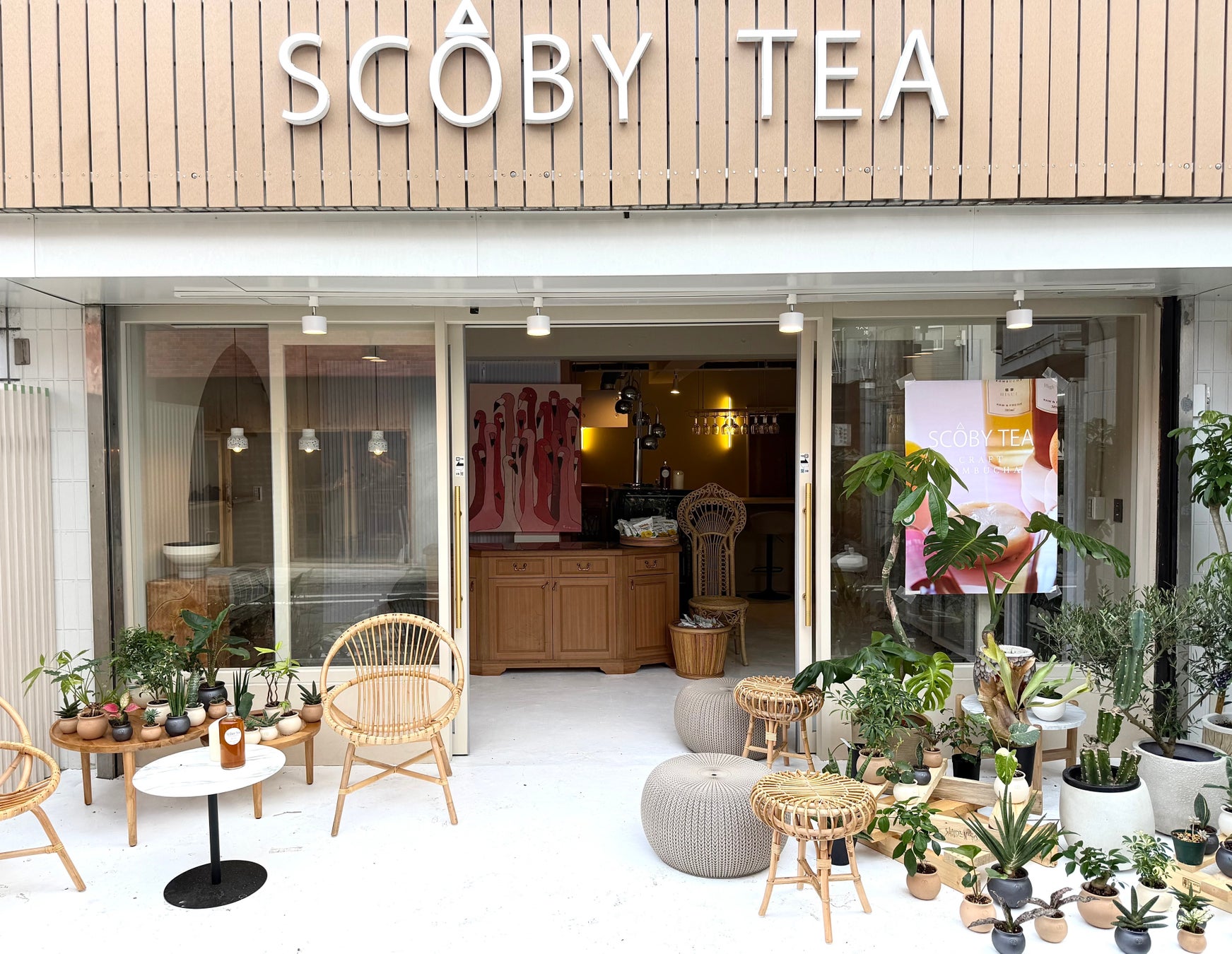 7月5日(土) 新たな発酵の体験の場が誕生！「クラフトコンブチャ SCOBY TEA」 フラッグシップストアが世田谷・駒沢にニューオープン